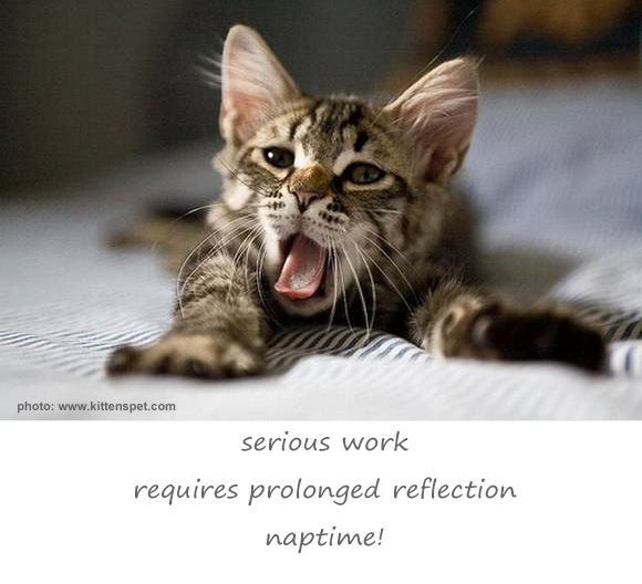 kittens_yawning_15 haiga2